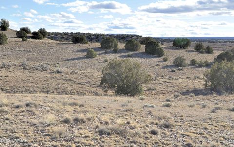 Tiny photo for 691 CR 5270, Concho, AZ 85924 (MLS # 259065)