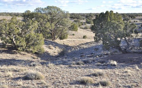 Tiny photo for 691 CR 5270, Concho, AZ 85924 (MLS # 259065)