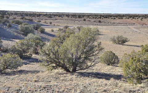 Tiny photo for 691 CR 5270, Concho, AZ 85924 (MLS # 259065)