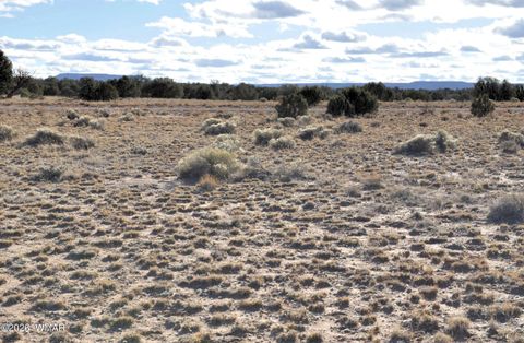 Tiny photo for 691 CR 5270, Concho, AZ 85924 (MLS # 259065)