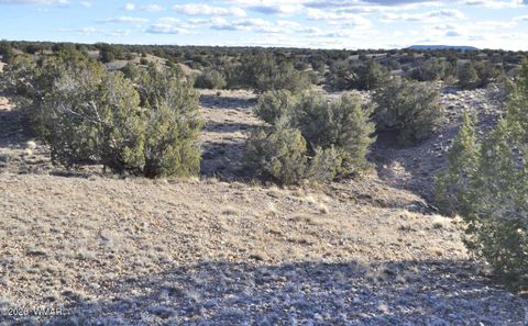 Tiny photo for 691 CR 5270, Concho, AZ 85924 (MLS # 259065)