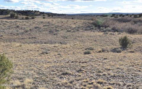 Tiny photo for 691 CR 5270, Concho, AZ 85924 (MLS # 259065)