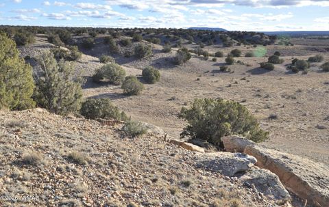 Tiny photo for 691 CR 5270, Concho, AZ 85924 (MLS # 259065)