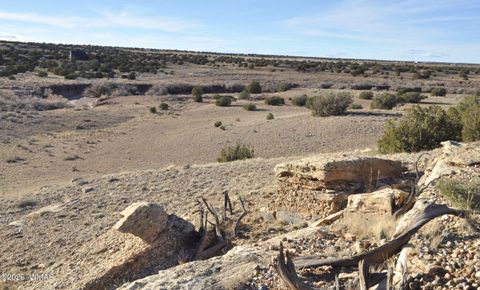 Tiny photo for 691 CR 5270, Concho, AZ 85924 (MLS # 259065)