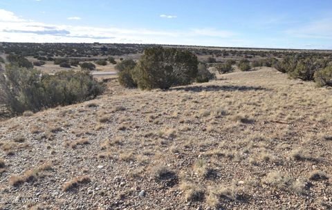 Tiny photo for 691 CR 5270, Concho, AZ 85924 (MLS # 259065)