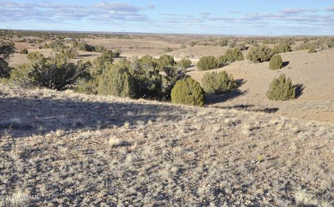 Tiny photo for 691 CR 5270, Concho, AZ 85924 (MLS # 259065)