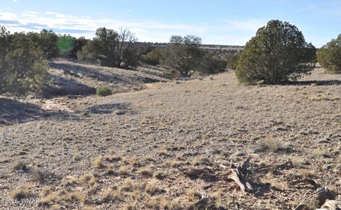 Tiny photo for 691 CR 5270, Concho, AZ 85924 (MLS # 259065)