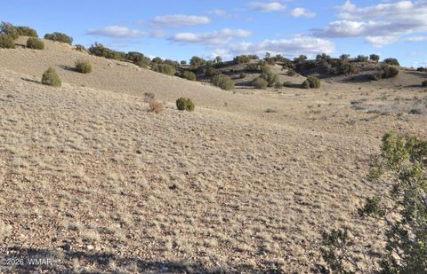 Tiny photo for 691 CR 5270, Concho, AZ 85924 (MLS # 259065)