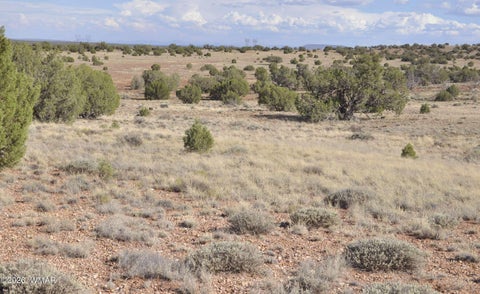Tiny photo for 10 N9228, Concho, AZ 85924 (MLS # 261926)