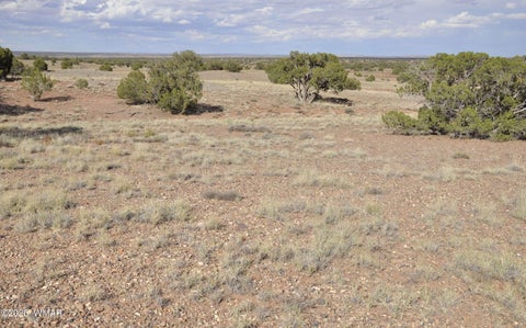 Tiny photo for 10 N9228, Concho, AZ 85924 (MLS # 261926)