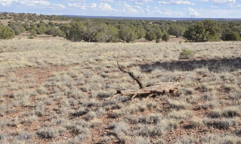 Tiny photo for 10 N9228, Concho, AZ 85924 (MLS # 261926)