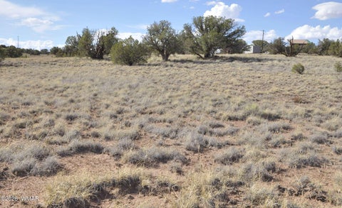 Tiny photo for 10 N9228, Concho, AZ 85924 (MLS # 261926)