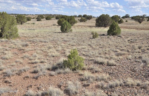 Tiny photo for 10 N9228, Concho, AZ 85924 (MLS # 261926)