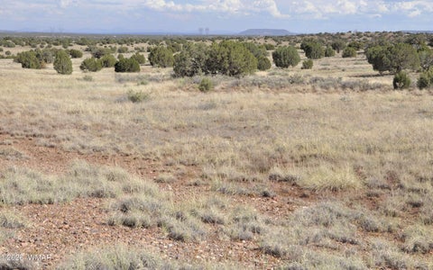 Tiny photo for 10 N9228, Concho, AZ 85924 (MLS # 261926)