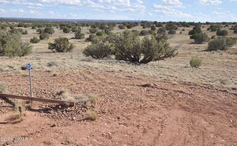 Tiny photo for 10 N9228, Concho, AZ 85924 (MLS # 261926)