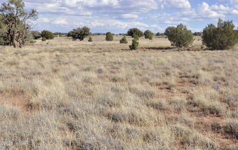 Tiny photo for 10 N9228, Concho, AZ 85924 (MLS # 261926)