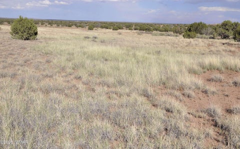 Tiny photo for 10 N9228, Concho, AZ 85924 (MLS # 261926)