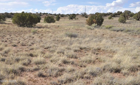 Tiny photo for 10 N9228, Concho, AZ 85924 (MLS # 261926)