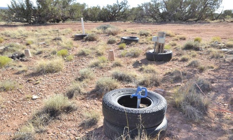 Tiny photo for 10 N9228, Concho, AZ 85924 (MLS # 261926)