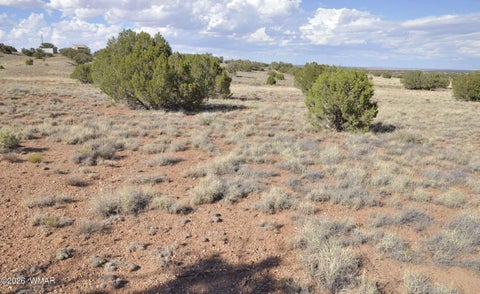 Tiny photo for 10 N9228, Concho, AZ 85924 (MLS # 261926)