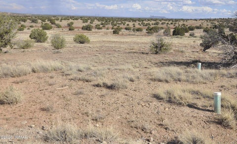 Tiny photo for 10 N9228, Concho, AZ 85924 (MLS # 261926)