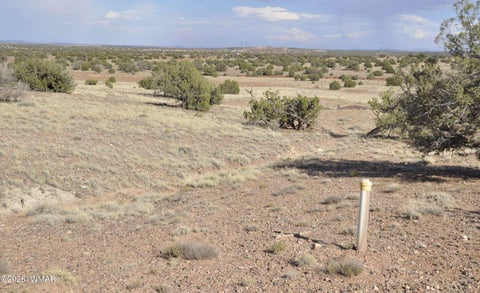 Tiny photo for 10 N9228, Concho, AZ 85924 (MLS # 261926)