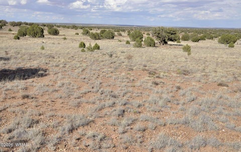 Tiny photo for 10 N9228, Concho, AZ 85924 (MLS # 261926)