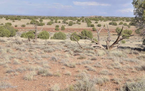Tiny photo for 10 N9228, Concho, AZ 85924 (MLS # 261926)