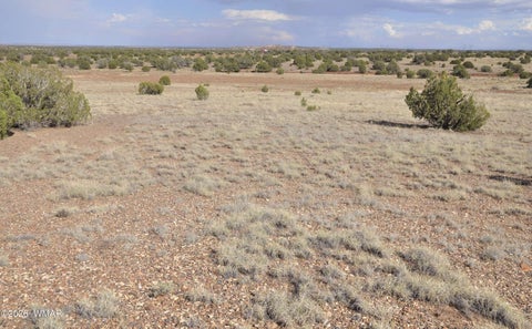 Tiny photo for 10 N9228, Concho, AZ 85924 (MLS # 261926)