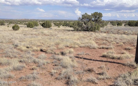 Tiny photo for 10 N9228, Concho, AZ 85924 (MLS # 261926)