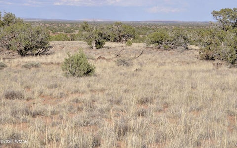 Tiny photo for 10 N9228, Concho, AZ 85924 (MLS # 261926)