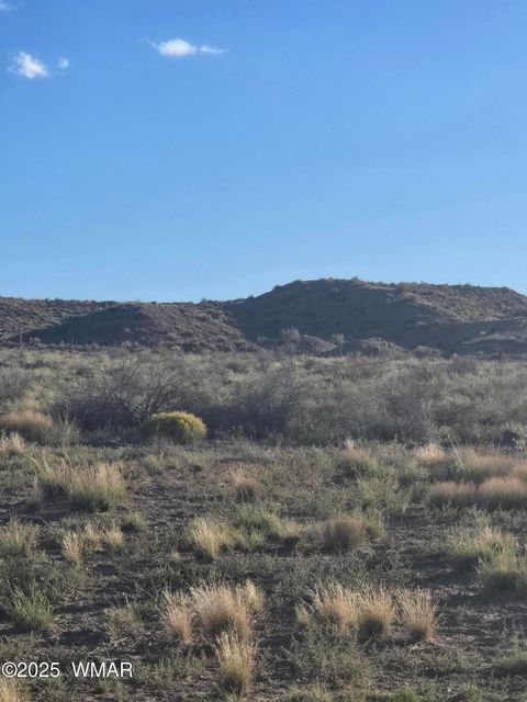Tiny photo for 9714 Washboard Road, Holbrook, AZ 86025 (MLS # 258255)