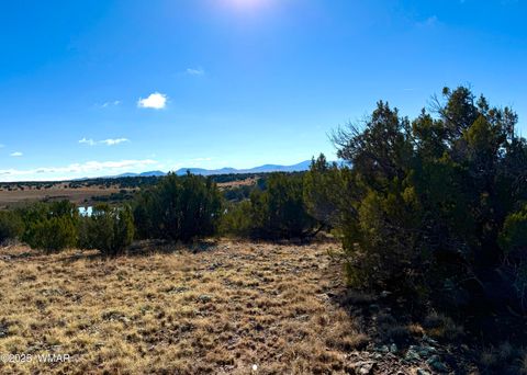 Tiny photo for TBD CR 8637 Lot #210, Concho, AZ 85924 (MLS # 258783)