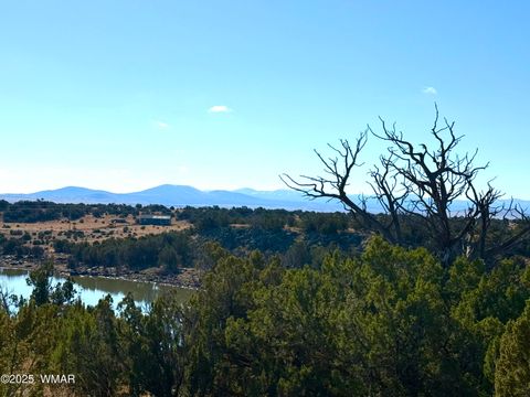 Tiny photo for TBD CR 8637 Lot #210, Concho, AZ 85924 (MLS # 258783)