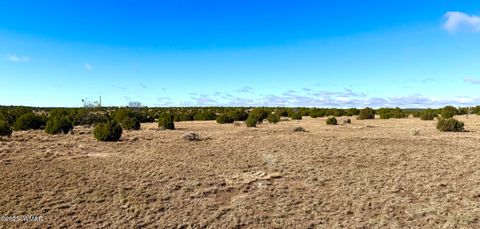 Tiny photo for TBD CR 8637 Lot #210, Concho, AZ 85924 (MLS # 258783)