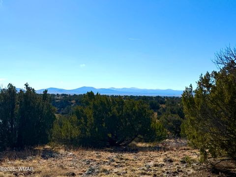 Tiny photo for TBD CR 8637 Lot #210, Concho, AZ 85924 (MLS # 258783)