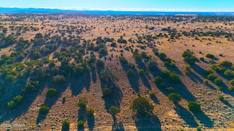 Photo of TBD CR 8637 Lot #210, Concho, AZ 85924 (MLS # 258783)