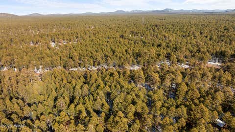 Tiny photo for 2627 Douglas Fir Drive, Pinetop, AZ 85935 (MLS # 262600)