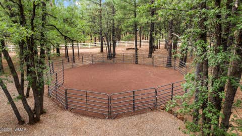 Tiny photo for 5339 Branding Iron Loop, Pinetop, AZ 85935 (MLS # 261682)