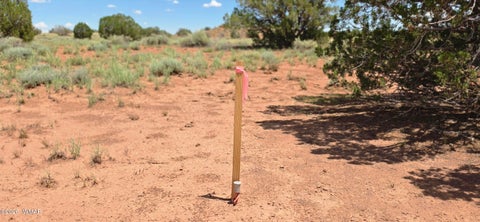 Tiny photo for TBD 22 AC, Snowflake, AZ 85937 (MLS # 262511)
