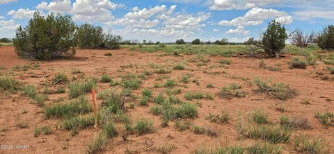 Tiny photo for TBD 22 AC, Snowflake, AZ 85937 (MLS # 262511)