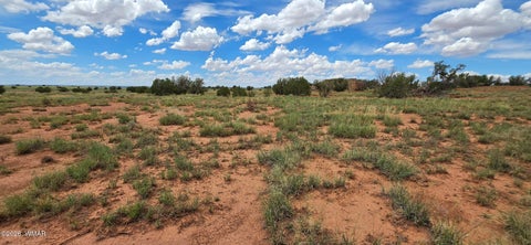 Tiny photo for TBD 22 AC, Snowflake, AZ 85937 (MLS # 262511)