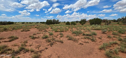 Tiny photo for TBD 22 AC, Snowflake, AZ 85937 (MLS # 262511)