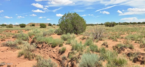 Tiny photo for TBD 22 AC, Snowflake, AZ 85937 (MLS # 262511)