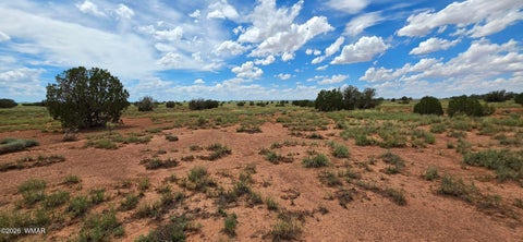Tiny photo for TBD 22 AC, Snowflake, AZ 85937 (MLS # 262511)