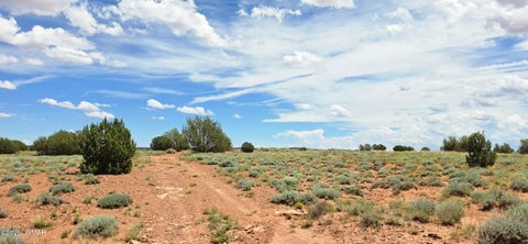 Tiny photo for TBD 22 AC, Snowflake, AZ 85937 (MLS # 262511)