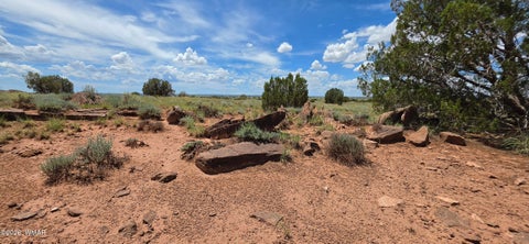 Tiny photo for TBD 22 AC, Snowflake, AZ 85937 (MLS # 262511)