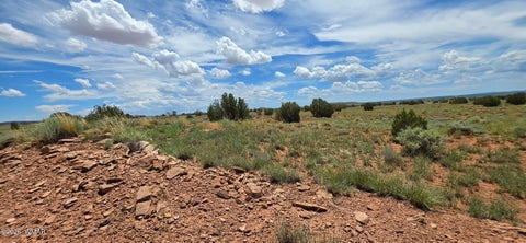 Tiny photo for TBD 22 AC, Snowflake, AZ 85937 (MLS # 262511)