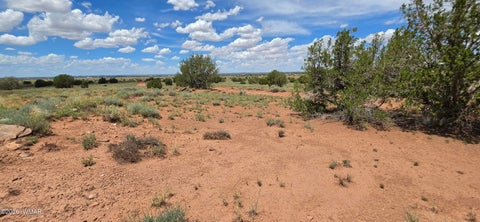 Tiny photo for TBD 22 AC, Snowflake, AZ 85937 (MLS # 262511)