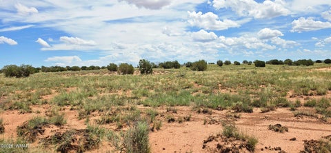 Tiny photo for TBD 22 AC, Snowflake, AZ 85937 (MLS # 262511)